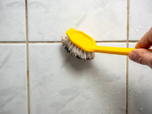 Best Commercial Mold Remediation in St James, NC