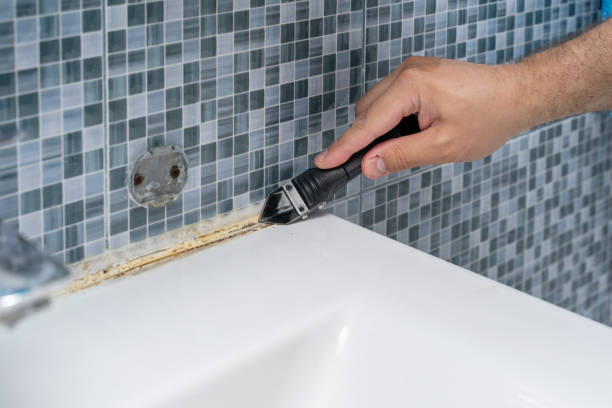 Best Black Mold Remediation in St James, NC