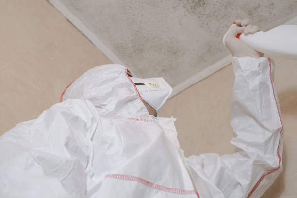 Best Mold Testing and Inspection Services in St James, NC